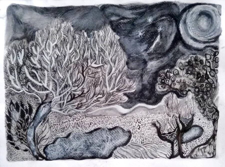 el jardín salvaje  — la puerta del jardín salvaje