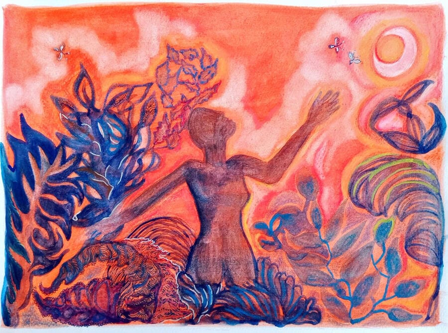 el jardín salvaje  — atardecer