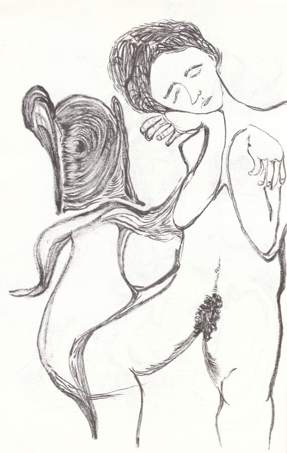 imaginar y ver — obra 24