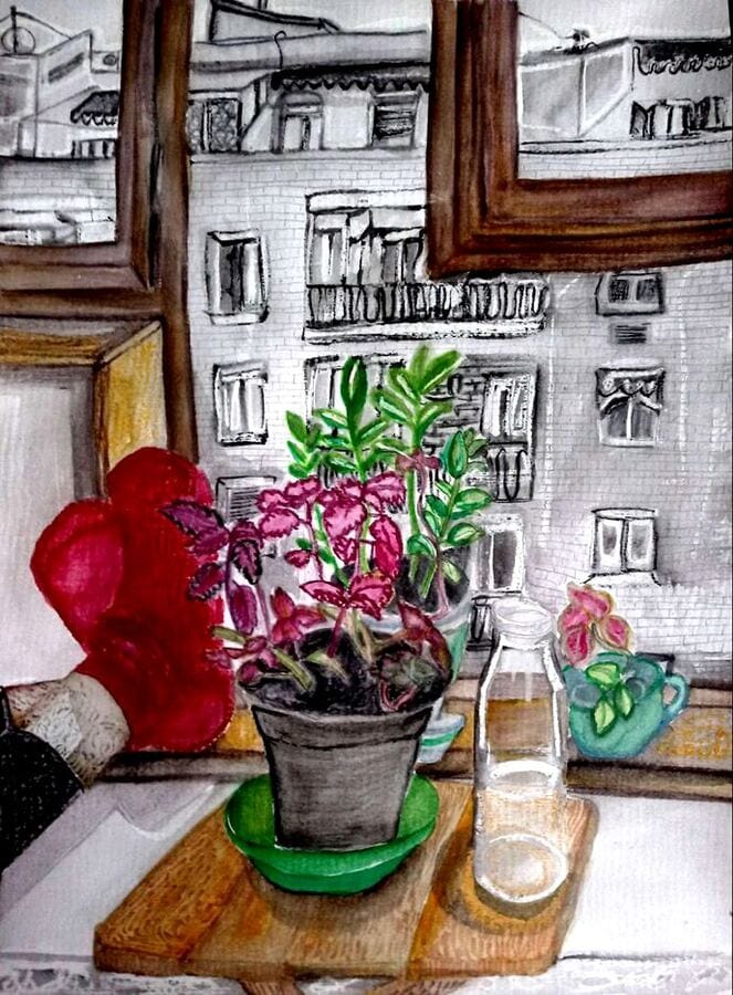 vida cotidiana — contemplación